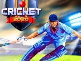 Spielen Cricket 2020 now