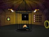 Spielen Toucan rescue now