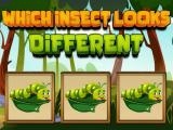 Spielen Which insect looks different now