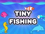 Spielen Tiny fishing masters now