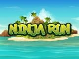 Spielen Ninja run island now