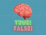 Spielen True or false quiz now