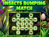 Spielen Insects bumping match now