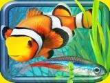 Spielen Fish farm - aquarium simulator now