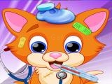 Spielen Little sweet cat doctor now