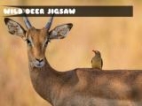 Spielen Wild deer jigsaw now