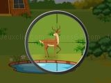 Spielen Deer hunter 2d
