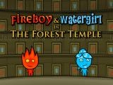 Spielen Fireboy and watergirl: forest temple now