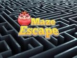 Spielen Maze escape now