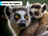 Spielen Lemur zoo jigsaw now