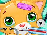 Spielen Doctor pets now