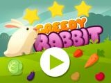 Spielen Greedy rabbit platformer now