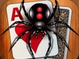 Spielen Classic spider solitaire now