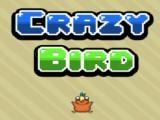 Spielen Crazy flappy now
