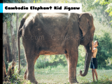 Spielen Cambodia elephant kid jigsaw now