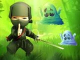 Spielen Ninja vs slime now