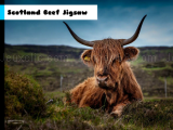 Spielen Scotland beef jigsaw now