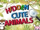 Spielen Hidden cute animals now