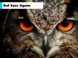Spielen Owl eyes jigsaw now