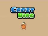 Spielen Crazy bird now