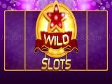 Spielen Wild slot now
