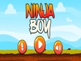 Spielen Ninja boy ! now