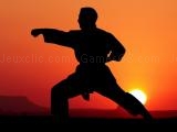 Spielen Karate sunset warriors now