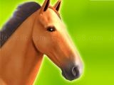 Spielen Horse run 3d now