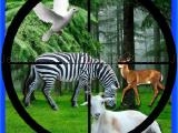 Spielen Real jungle animals hunting now