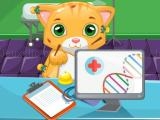 Spielen Cat doctor sim now