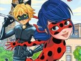 Spielen Ladybug differences now