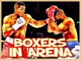 Spielen Boxers in arena now
