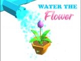 Spielen Water the flower now