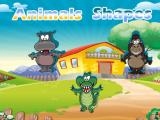 Spielen Animals shapes now