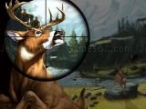 Spielen Deer hunter now