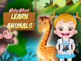 Spielen Baby hazel learn animals now