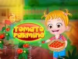 Spielen Baby hazel tomato farming now