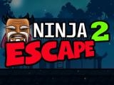 Spielen Ninja escape 2 now
