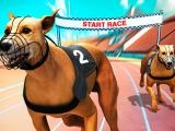 Spielen Crazy dog racing fever now